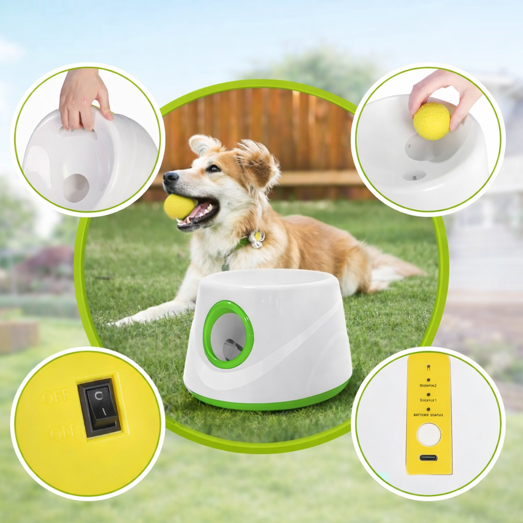 Automatische Ballwurfmaschine